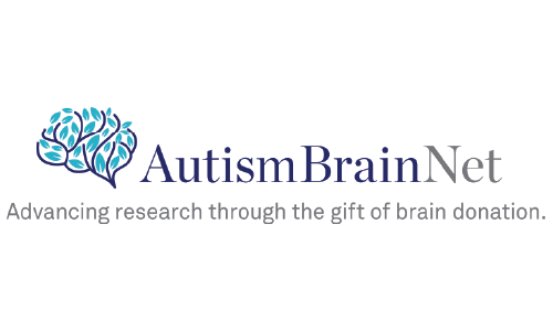 autism brainnet