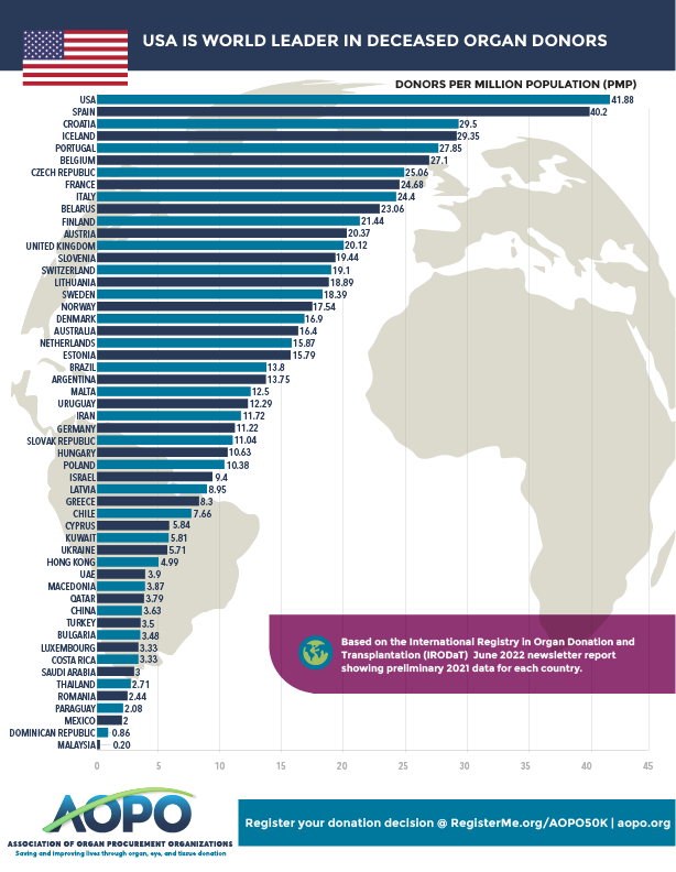 2022 AOPO Global Data Infographic 1