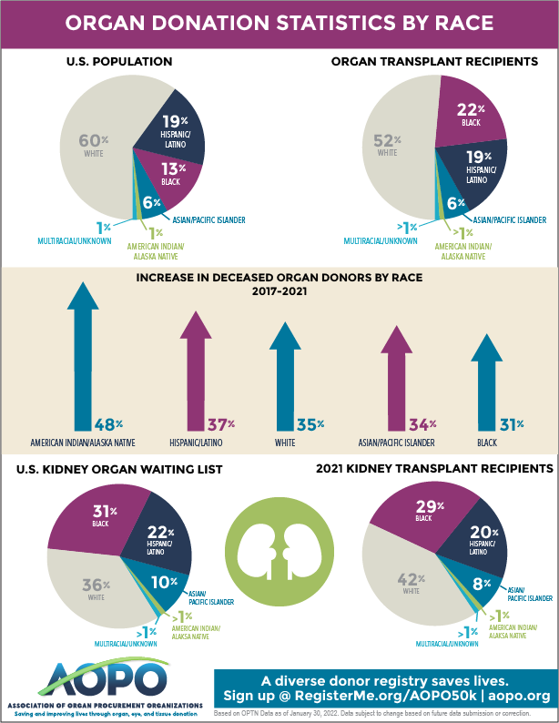 2022 Organ Donation By Race Infographic