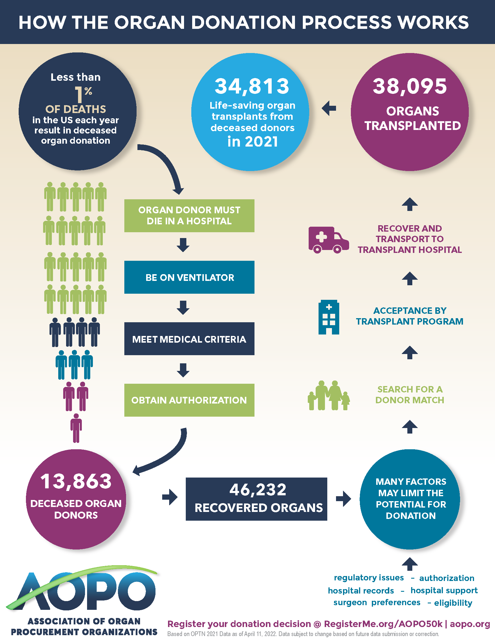 2022 AOPO Donation Process Infographic