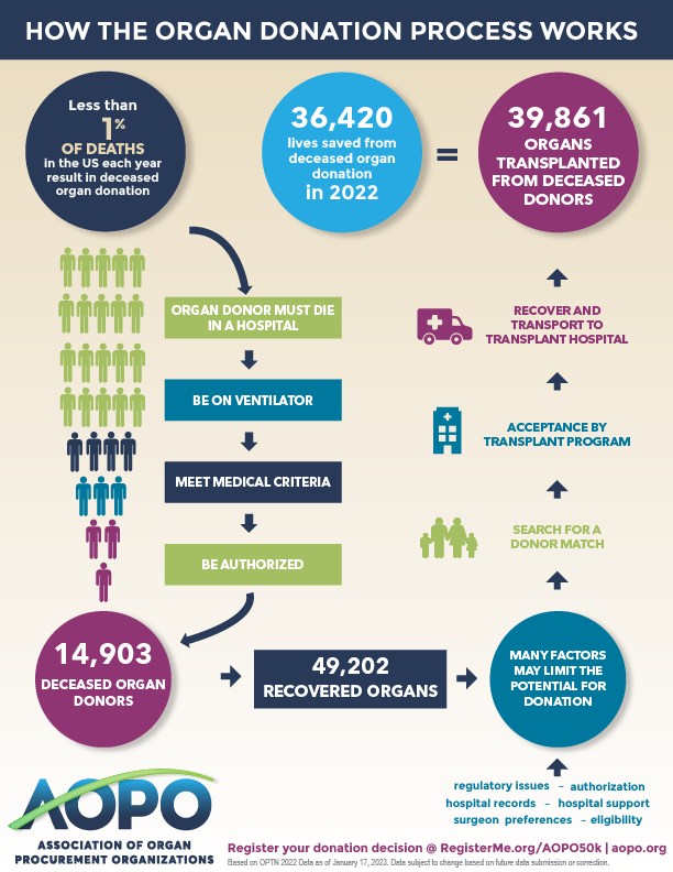 2023 AOPO Donation Process Infographic