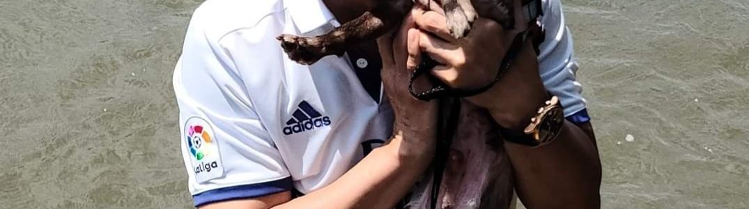 inbound3570250752945324411