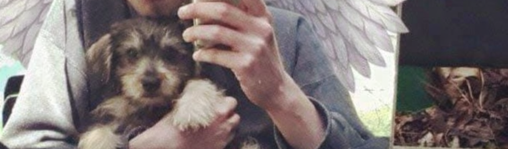 inbound5424854129668782841